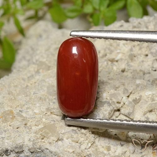 2.06ct Натуральный Ярко-красный коралловый, Овал, Непрозрачный