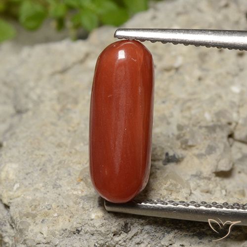 2.26ct Натуральный Средний красный коралловый, Овал, Непрозрачный