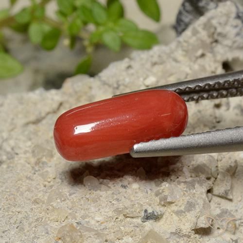 1.79 карата, натуральный Оранжево-Красный Коралловый, Овал, Непрозрачный