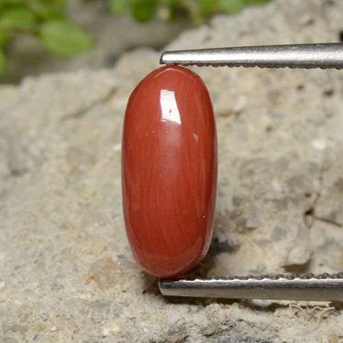 2.04ct Натуральный Средний красный коралловый, Овал, Непрозрачный