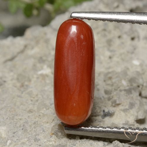 2.13ct Натуральный Средний красный коралловый, Овал, Непрозрачный