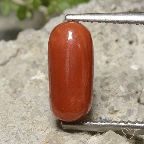 2.26ct Натуральный Средний красный коралловый, Овал, Непрозрачный