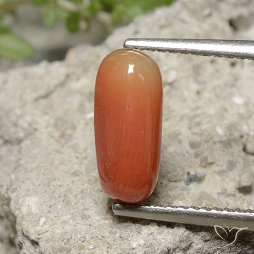 2.36ct Натуральный Огонь Оранжевый коралловый, Овал, Непрозрачный