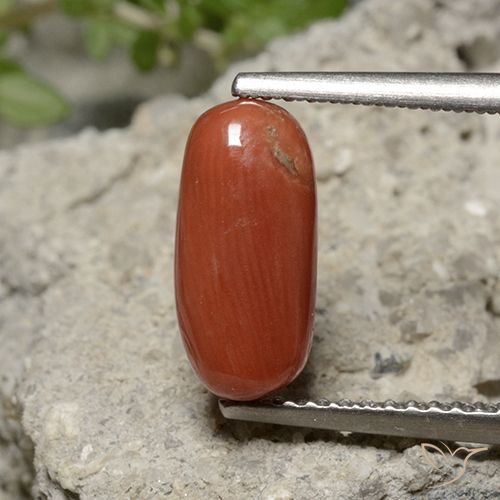 2.05ct Натуральный Средний апельсин коралловый, Овал, Непрозрачный