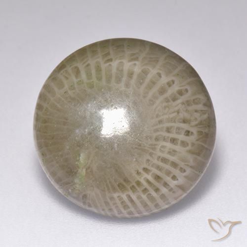 9.39ct Натуральный Многоцветный коралловый, Круглый, Непрозрачный