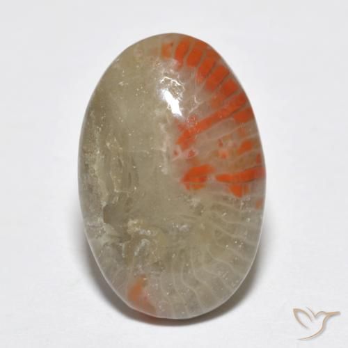 6.51ct Натуральный Многоцветный Коралловый, Овал, Полупрозрачный