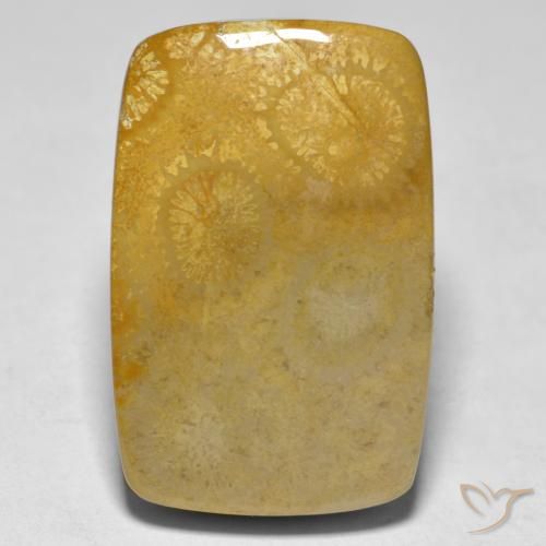 17.79ct Натуральный Многоцветный коралловый, Подушка, Непрозрачный