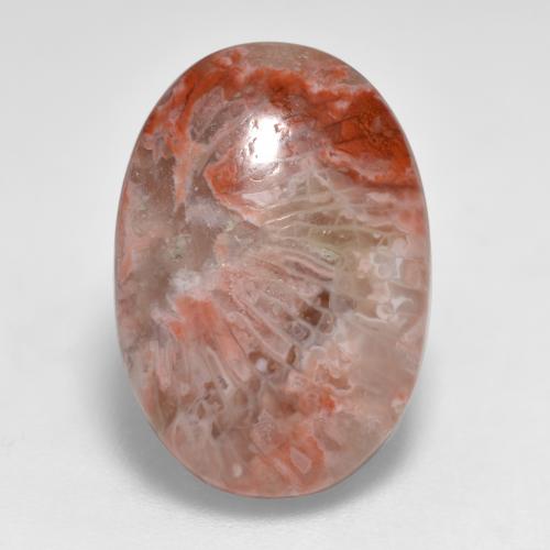 Натуральный многоцветный коралл 7,40 карата огранка овал, полупрозрачный