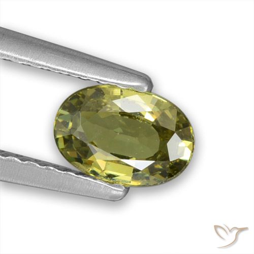 0.57ct Натуральный Теплый лесной зеленый Демантоидный гранат, Овал, VVS-VS