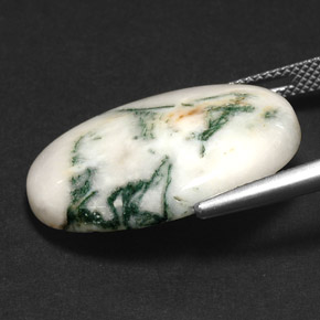 17.43 карата, натуральный Многоцветный Дендритный агат, Огранка Овал, Непрозрачный