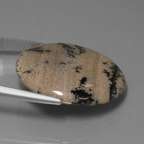 36.61 карата, натуральный Многоцветный Дендритный агат, Огранка Круг, Непрозрачный