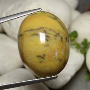 27.27 карата, натуральный Многоцветный Дендритный агат, Огранка Овал, Непрозрачный