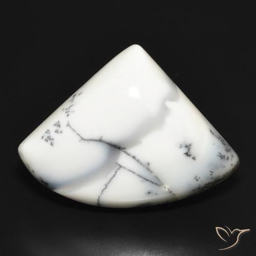 20.70ct Натуральный Белый с черным Дендритный агат, причудливая, Непрозрачный
