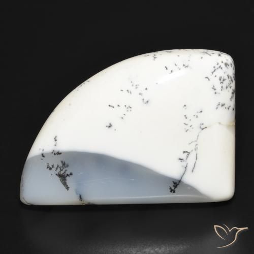 39.45ct Натуральный Белый с черным Дендритный агат, причудливая, Непрозрачный