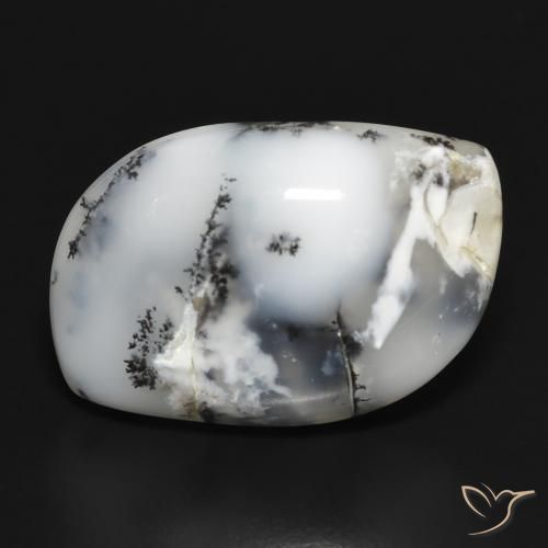 18.88ct Натуральный Белый с черным Дендритный агат, причудливая, Непрозрачный