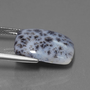 8.39 карата, натуральный Многоцветный Дендритный халцедон, Подушка Крой, Непрозрачный