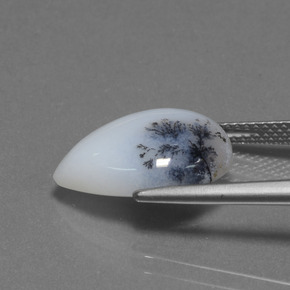 6.98 карата, натуральный Многоцветный Дендритный халцедон, Форма груши, Полупрозрачный