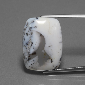 10.32 карата, натуральный Многоцветный Дендритный халцедон, Подушка Крой, Полупрозрачный