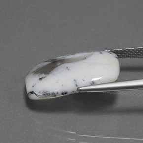 10.32 карата, натуральный Многоцветный Дендритный халцедон, Подушка Крой, Полупрозрачный