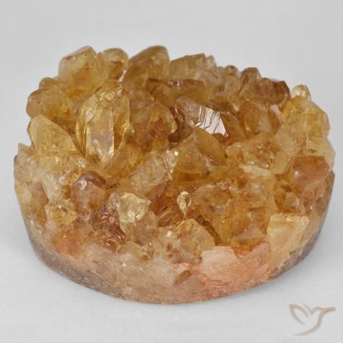 64.51ct Натуральный Золотисто-коричневый Друзья Цитрин, причудливая, Непрозрачный