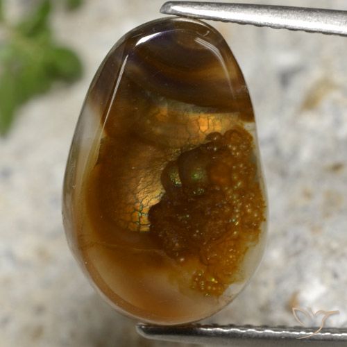 6.92ct Натуральный Многоцветный Огненный агат, причудливая, Полупрозрачный
