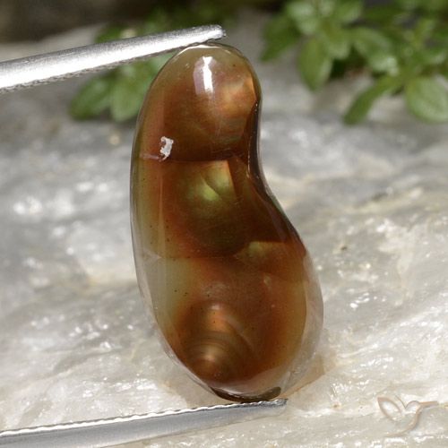5.25ct Натуральный Многоцветный Огненный агат, причудливая, Полупрозрачный