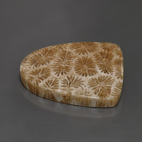 25.71 карата, натуральный Многоцветный Ископаемый коралл, Необычная форма, Непрозрачный