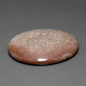 91.59 карата, натуральный Многоцветный Ископаемый коралл, Огранка Овал, Непрозрачный