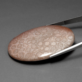 91.59 карата, натуральный Многоцветный Ископаемый коралл, Огранка Овал, Непрозрачный