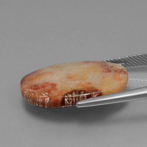 15.17 карата, натуральный Многоцветный Ископаемый коралл, Огранка Овал, Непрозрачный