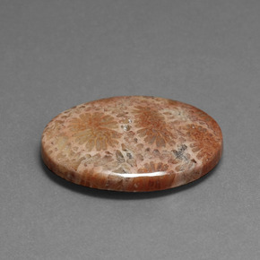 16.75 карата, натуральный Многоцветный Ископаемый коралл, Огранка Овал, Непрозрачный