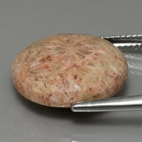 10.23 карата, натуральный Многоцветный Ископаемый коралл, Огранка Круг, Непрозрачный