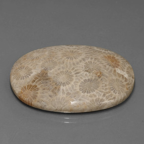 49.51 карата, натуральный Многоцветный Ископаемый коралл, Огранка Овал, Непрозрачный