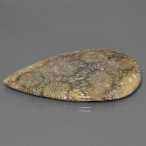 70.58 карата, натуральный Многоцветный Ископаемый коралл, Форма груши, Непрозрачный