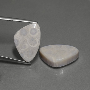  карата, натуральный Многоцветный Ископаемый коралл, Триллион, Непрозрачный