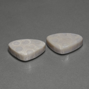  карата, натуральный Многоцветный Ископаемый коралл, Триллион, Непрозрачный