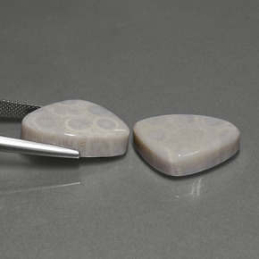  карата, натуральный Многоцветный Ископаемый коралл, Триллион, Непрозрачный