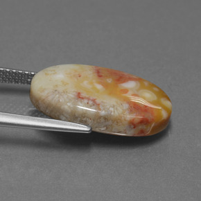 Натуральный многоцветный окаменелый коралл 8,82 карата огранка овал, непрозрачный