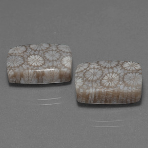  карата, натуральный Многоцветный Ископаемый коралл, Подушка Крой, Непрозрачный