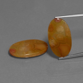  карата, натуральный Многоцветный Ископаемый коралл, Огранка Овал, Полупрозрачный