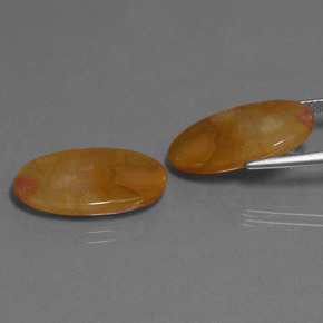  карата, натуральный Многоцветный Ископаемый коралл, Огранка Овал, Полупрозрачный
