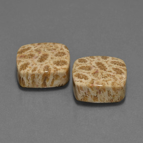  карата, натуральный Многоцветный Ископаемый коралл, Подушка Крой, Непрозрачный