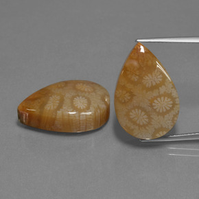  карата, натуральный Многоцветный Ископаемый коралл, Форма груши, Непрозрачный