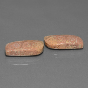  карата, натуральный Многоцветный Ископаемый коралл, Необычная форма, Непрозрачный