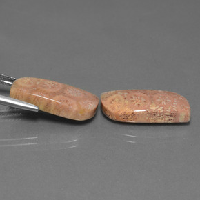  карата, натуральный Многоцветный Ископаемый коралл, Необычная форма, Непрозрачный