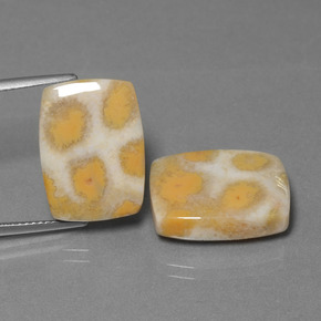  карата, натуральный Многоцветный Ископаемый коралл, Подушка Крой, Непрозрачный