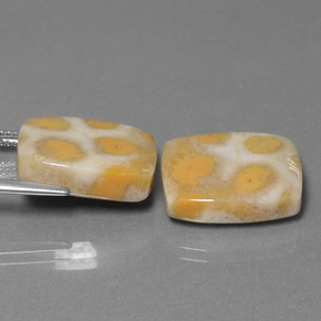  карата, натуральный Многоцветный Ископаемый коралл, Подушка Крой, Непрозрачный