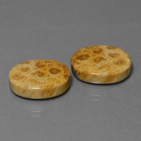 Натуральный многоцветный окаменелый коралл  карата огранка овал, непрозрачный