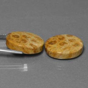 Натуральный многоцветный окаменелый коралл  карата огранка овал, непрозрачный