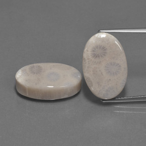  карата, натуральный Многоцветный Ископаемый коралл, Огранка Овал, Непрозрачный